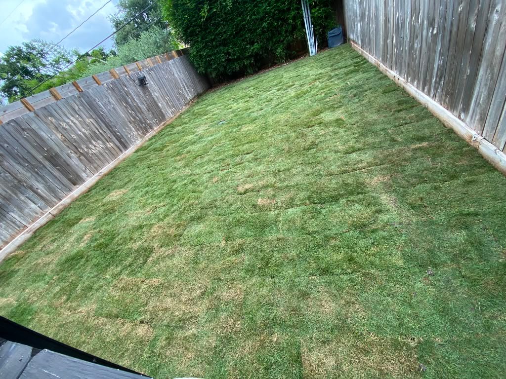 Finished sod installation project by Rainlandscaping